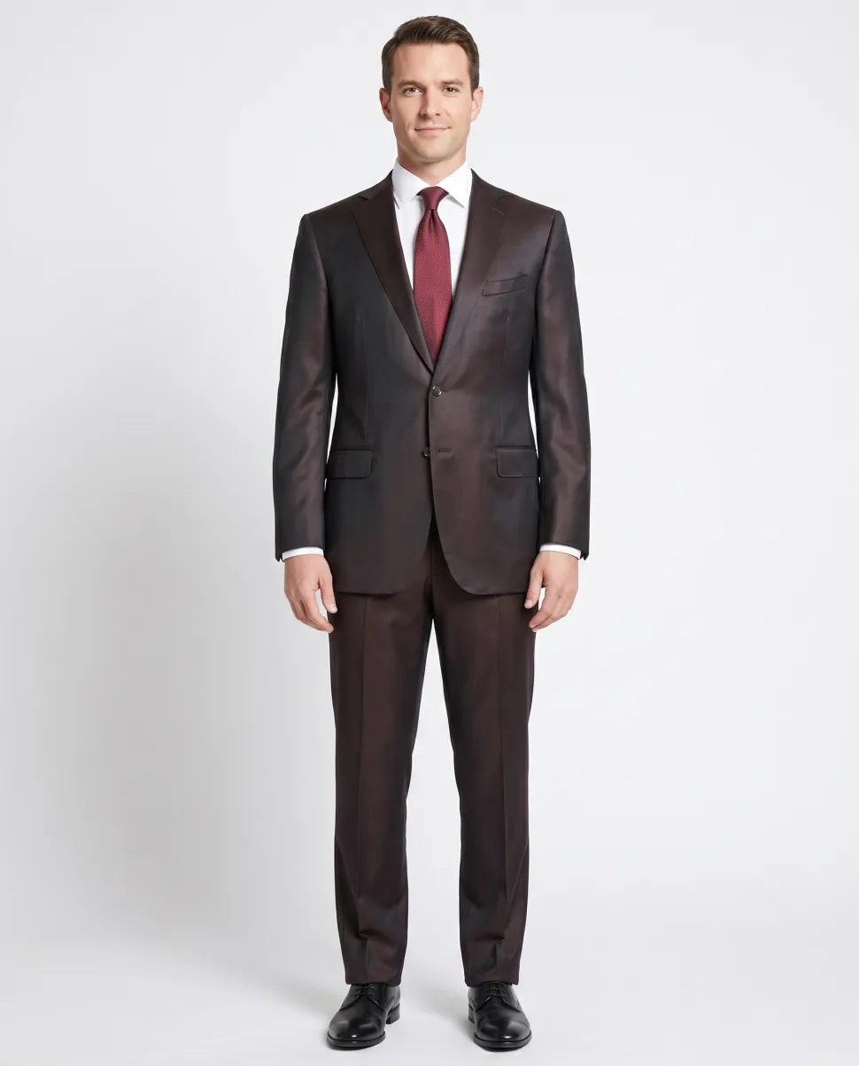Blujacket Mens Solid Dark Brown Regular Fit Reda Wool 2 Button Suit