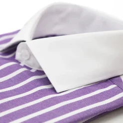 Ferrecci Purple Striped Slim Fit Spread Collar Cotton Dress Shirt