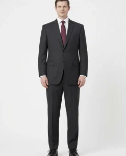 Raphael Men's Regular Classic Fit Charcoal Gray 2 Button Men's Suit