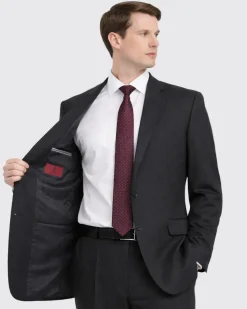 Raphael Men's Regular Classic Fit Charcoal Gray 2 Button Men's Suit
