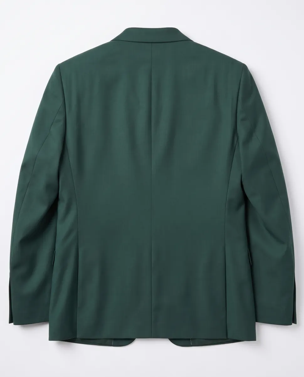Raphael Mens Solid Green Regular Fit Two Button Suit