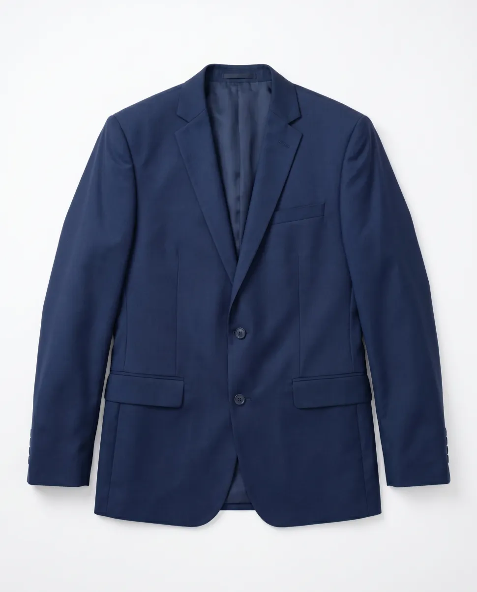 Raphael Regular Fit Solid Blue Two Button Suit