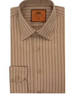 Steven Land Gold Striped Regular Fit Spread Collar Wrinkle & Shrink Free Cotton Dress Shirt