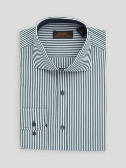 Steven Land Mens Classic Fit Green & White Striped 100% Cutaway Collar Cotton Dress Shirt